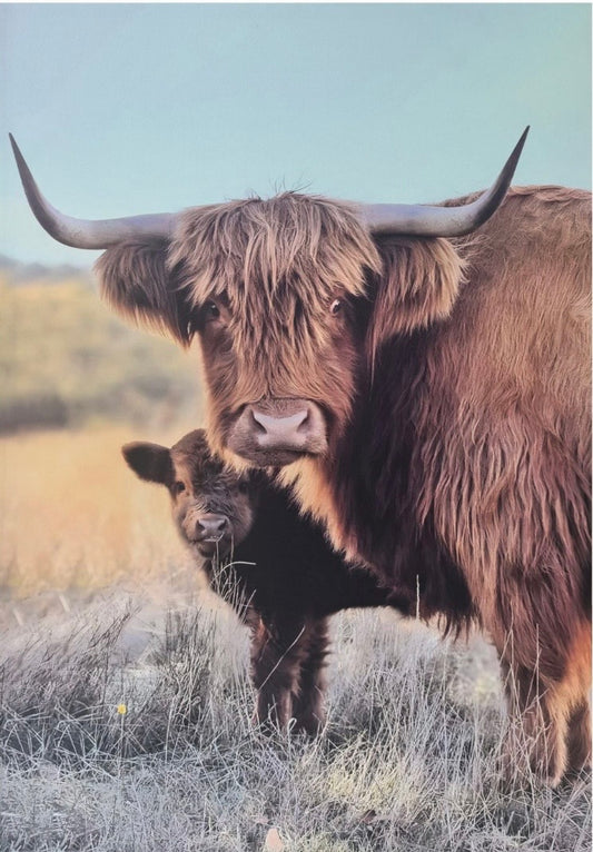 Highland Cow w/Baby