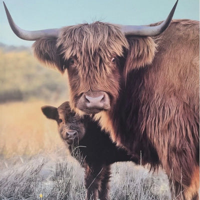 Highland Cow w/Baby